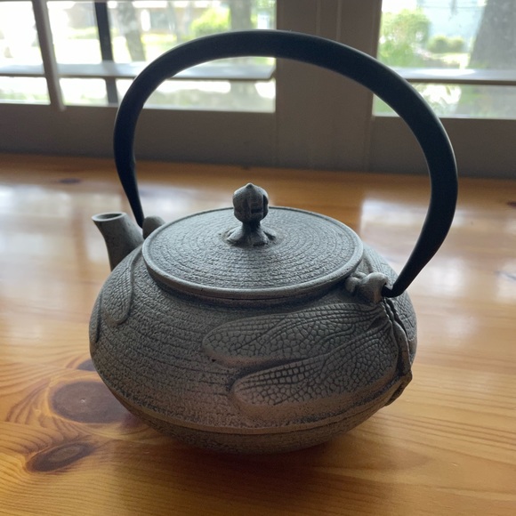 Teavana Kitchen Teavana Teapot Silver Tetsubin Japanese Dragonfly